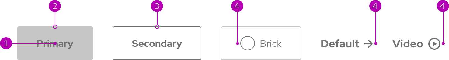 Anatomy image showing calls to action with various annotation numbers